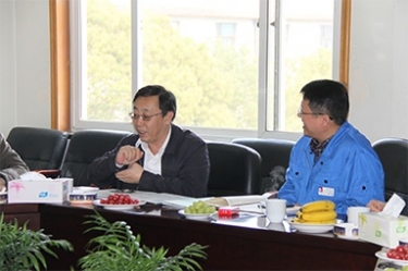 2013年3月18日，时任国家工信部节能司副司长杨铁生一行莅临公司参观指导